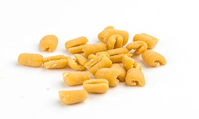 Pisarei, dettaglio della pasta